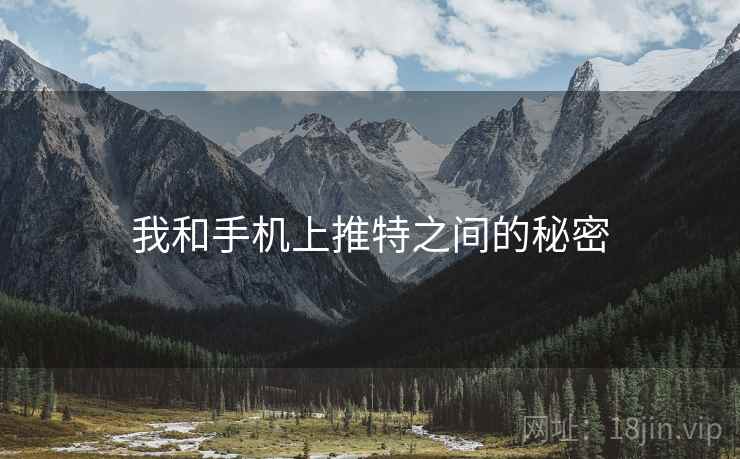 我和手机上推特之间的秘密