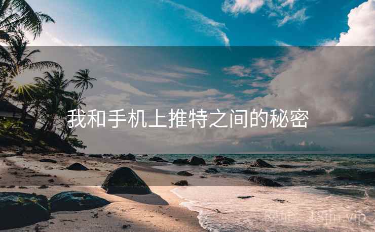我和手机上推特之间的秘密