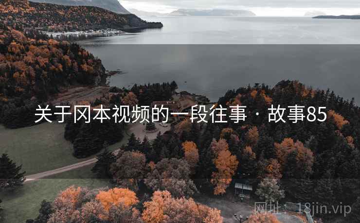 关于冈本视频的一段往事 · 故事85