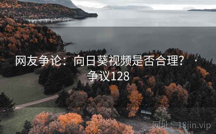 网友争论：向日葵视频是否合理？ · 争议128