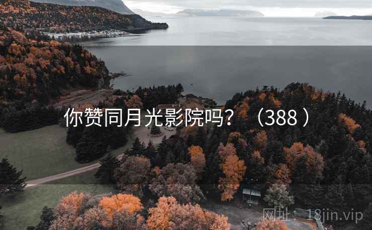 你赞同月光影院吗?(388 )