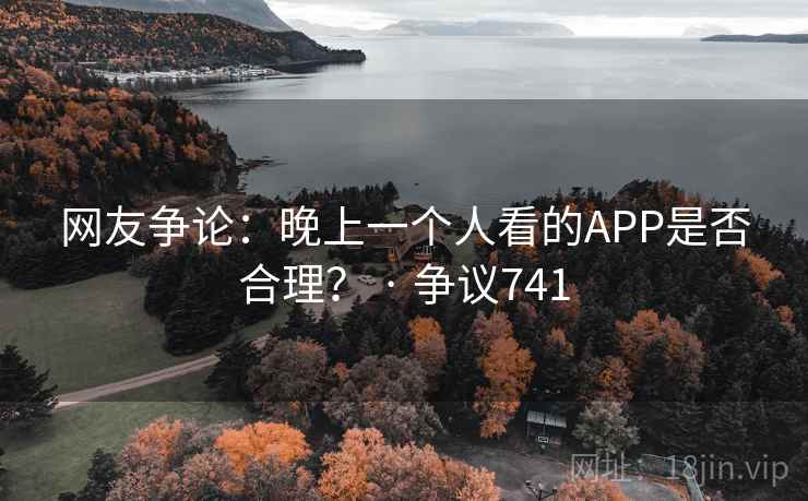 网友争论：晚上一个人看的APP是否合理？ · 争议741