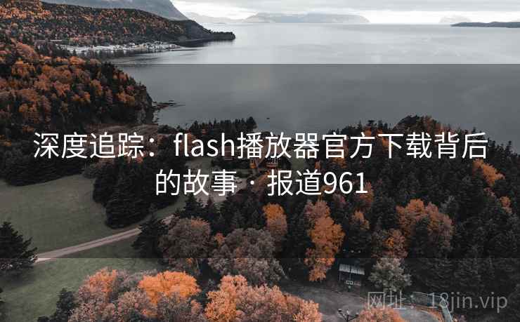 深度追踪：flash播放器官方下载背后的故事 · 报道961