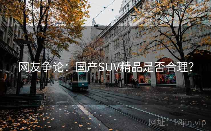 网友争论:国产SUV精品是否合理?