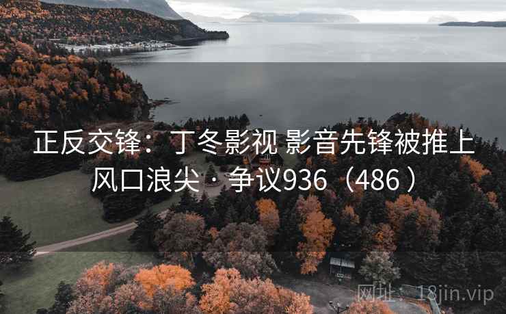 正反交锋：丁冬影视 影音先锋被推上风口浪尖 · 争议936（486 ）  第2张
